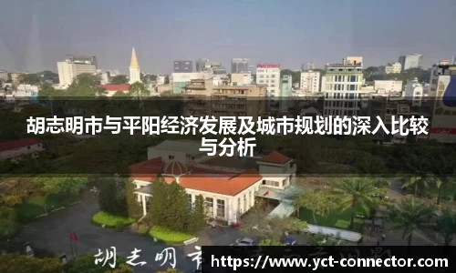 胡志明市与平阳经济发展及城市规划的深入比较与分析